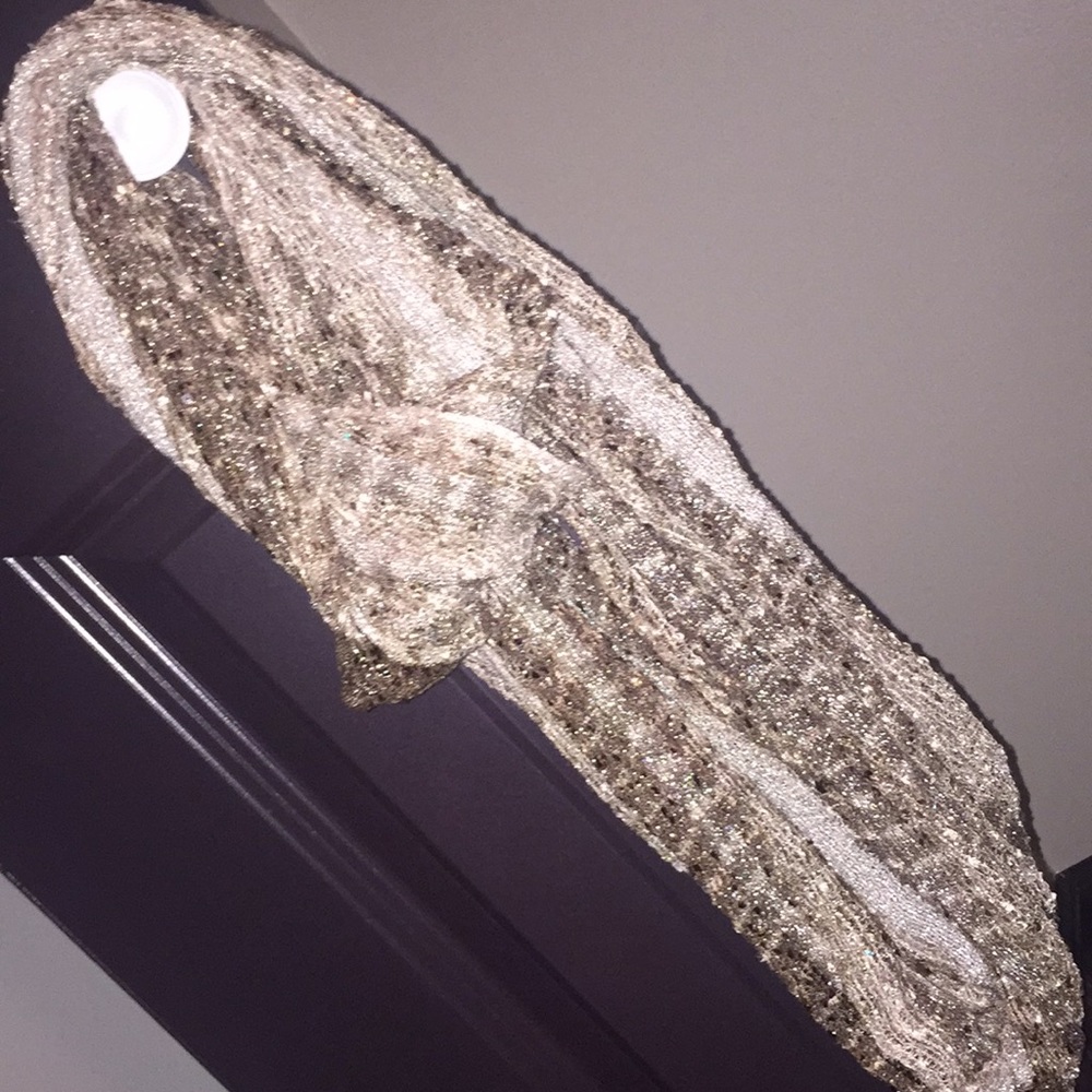 Sparkly infinity scarf from express